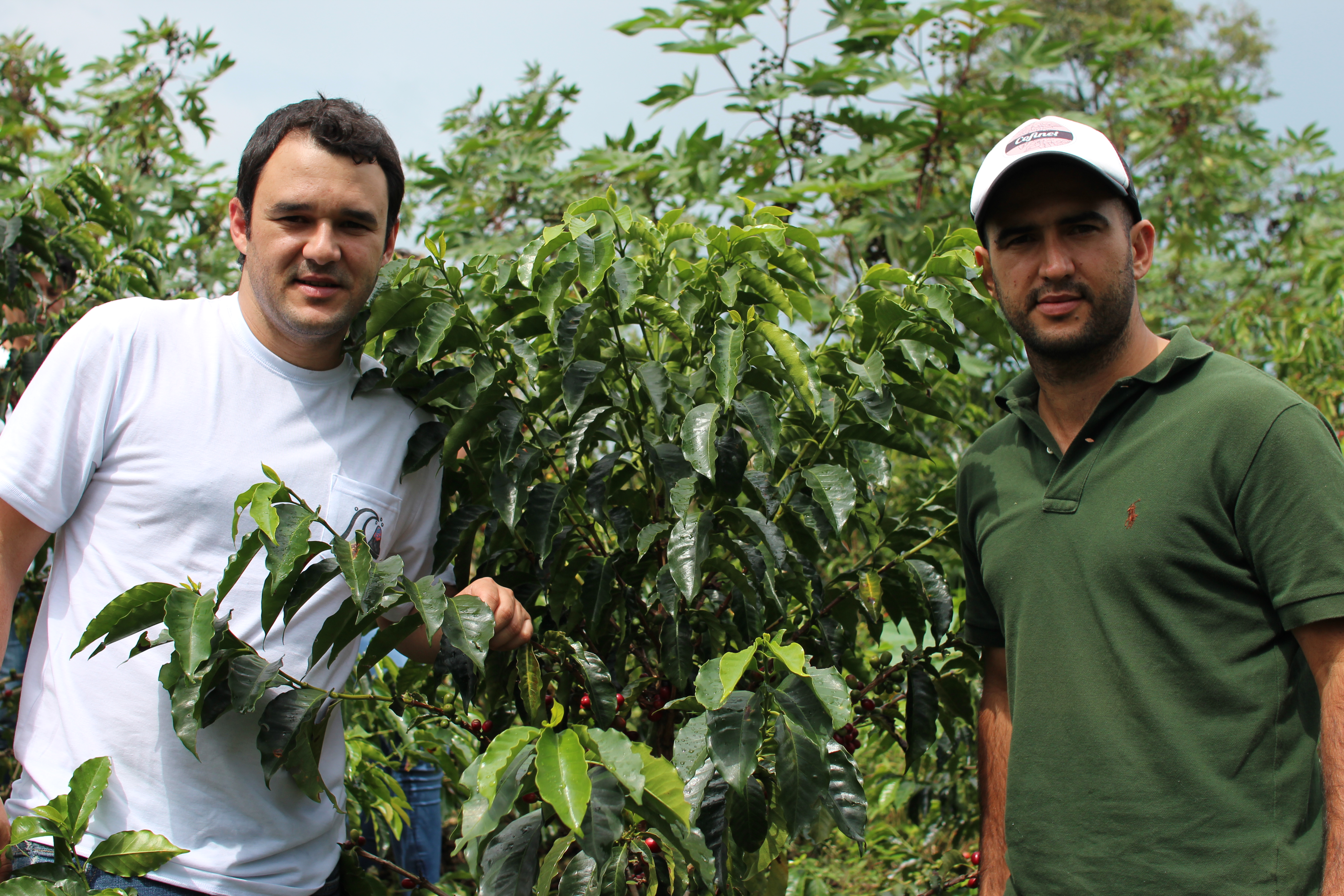 Brothers Carlos and Felipe posing next to a few coffee trees behind.