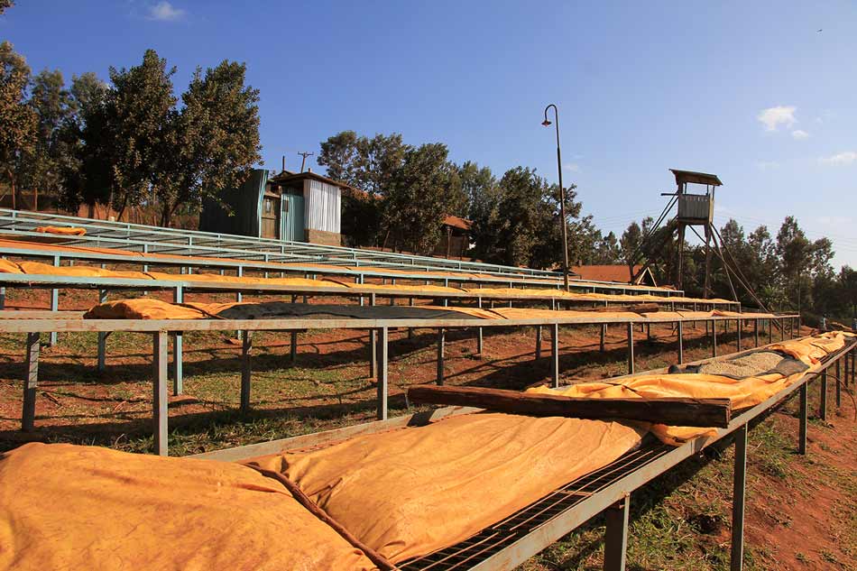 View of Kathakwa Coffee Factory