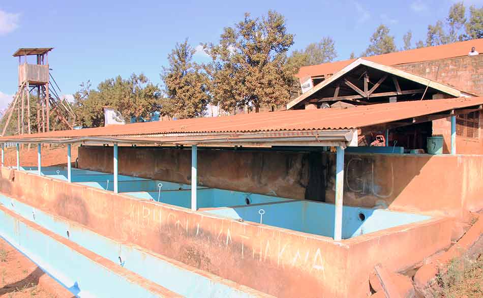 View of Kathakwa Coffee Factory