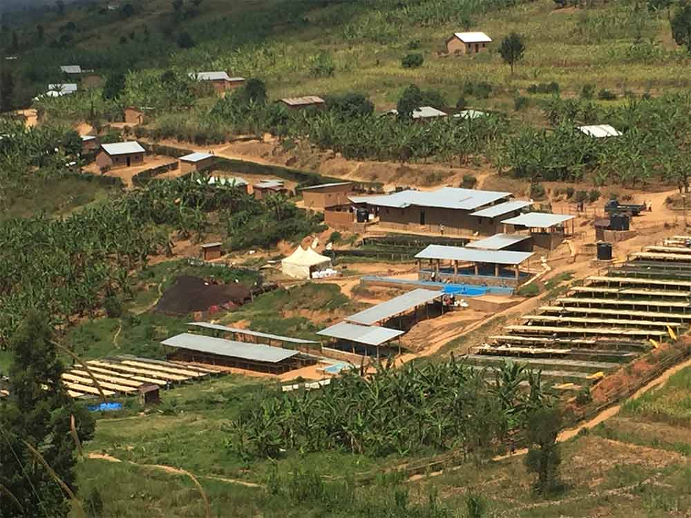 View of Nova Coffee washing station